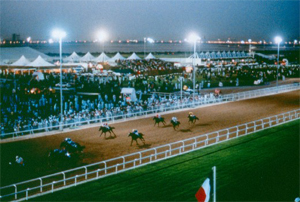 Dubai Gold Cup Horse Racing